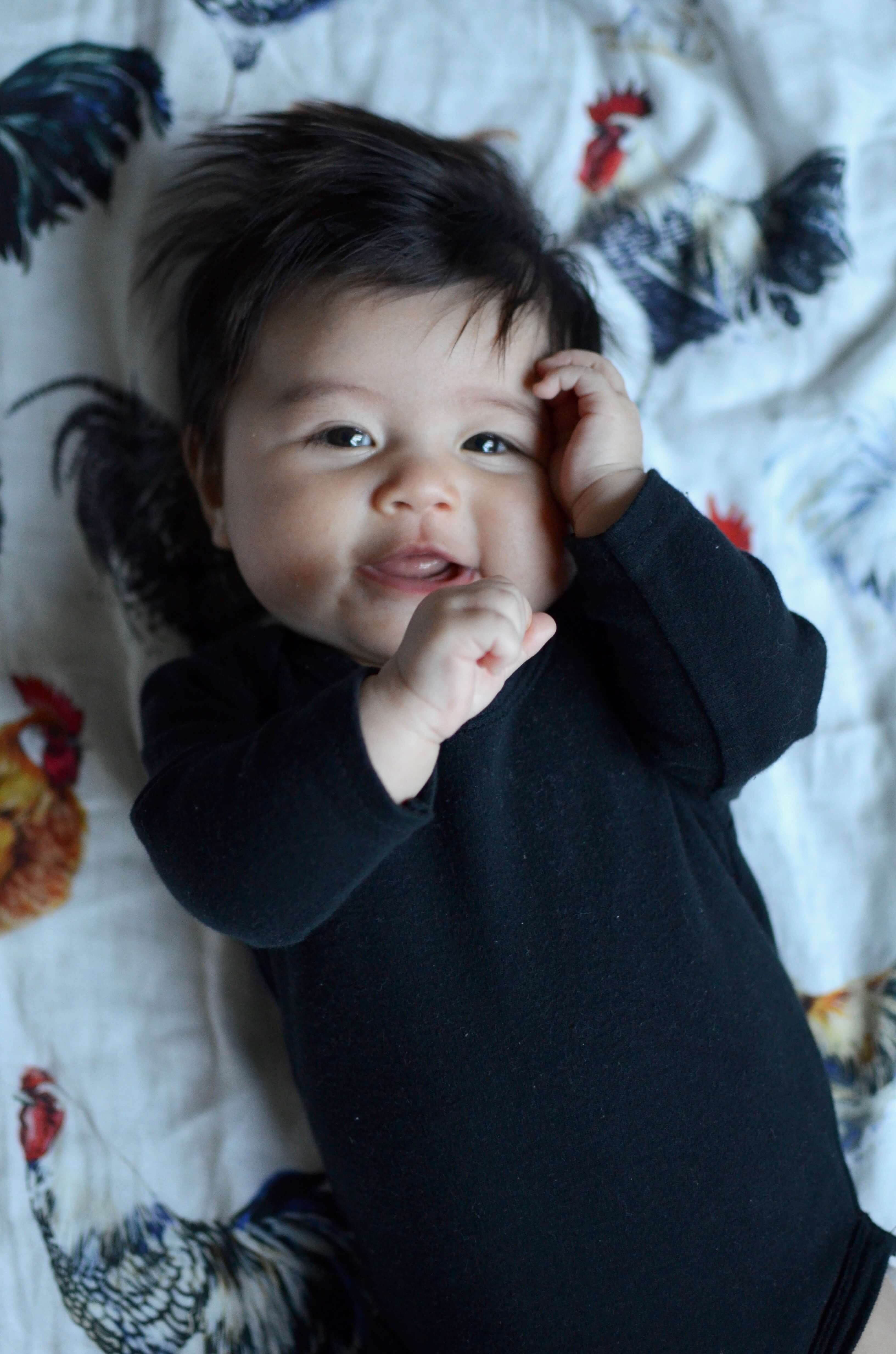 baby blankets with farm animals