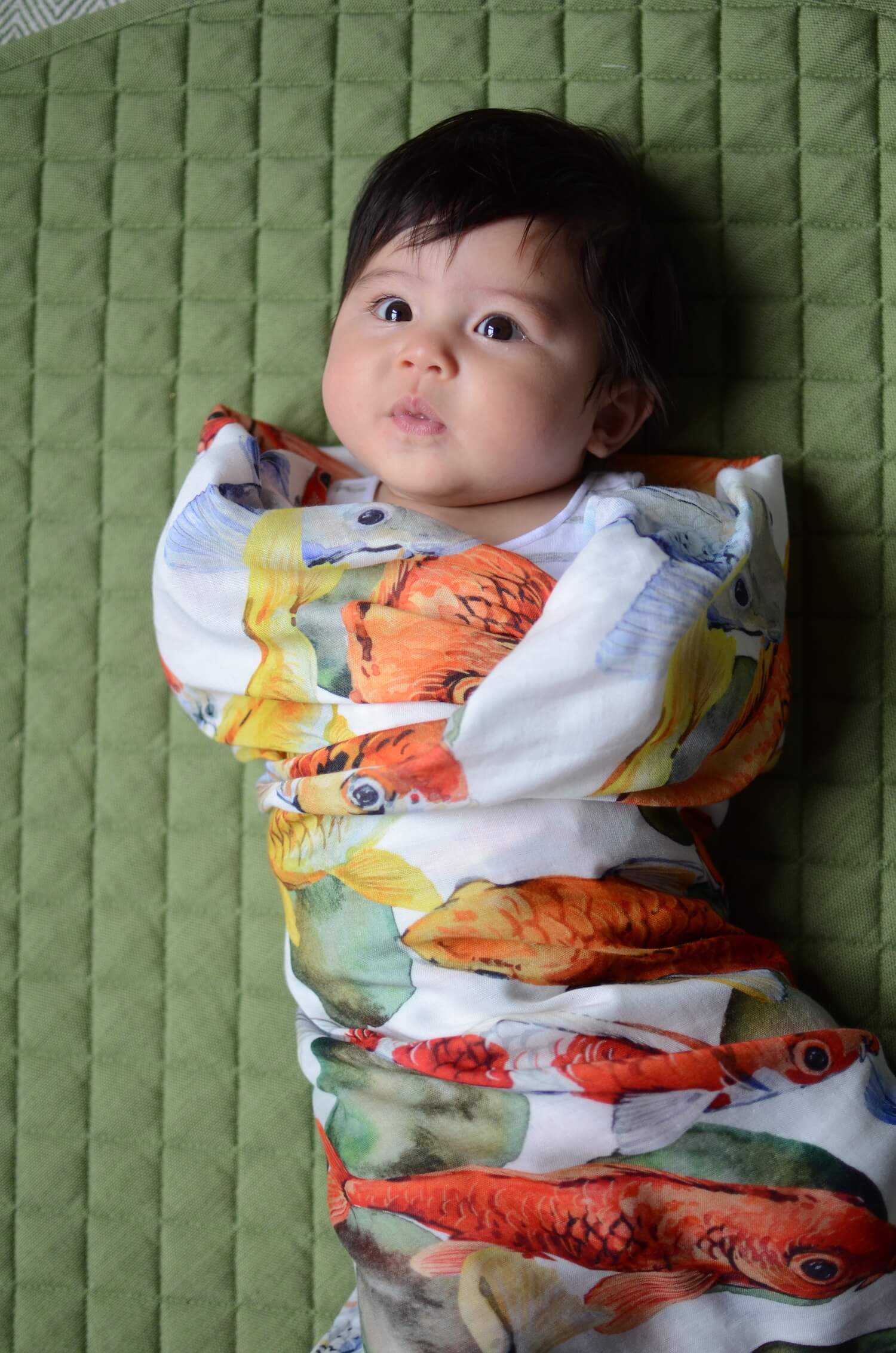 koi swaddle